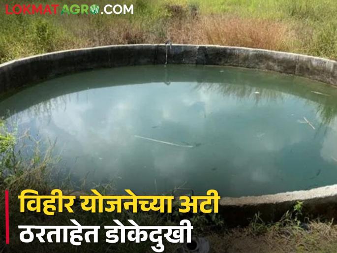 How to build a well for two and a half lakh? Farmer says... | अडीच लाखात विहीर बांधायची तरी कशी? शेतकरी म्हणतात...