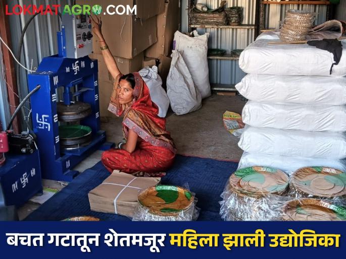 Ranjanatai's successful journey from farm laborer to successful entrepreneur | शेतमजूर ते यशस्वी उद्योजक रंजनाताईंची यशस्वी वाटचाल Ranjanatai's successful journey from farm laborer to successful entrepreneur | शेतमजूर ते यशस्वी उद्योजक रंजनाताईंची यशस्वी वाटचाल