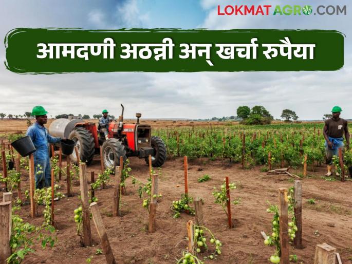 Planning in the New Year: Emphasis on contract farming, increased mechanization | नववर्षातील नियोजन : ठेक्याने शेती देण्यावर भर, यांत्रिकीकरण वाढले Planning in the New Year: Emphasis on contract farming, increased mechanization | नववर्षातील नियोजन : ठेक्याने शेती देण्यावर भर, यांत्रिकीकरण वाढले