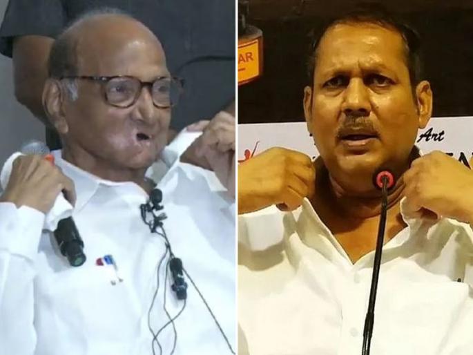 Satara Lok Sabha Election 2024 MP Udayanraje Bhosle said that he is Sharad Pawar sir | Satara Lok Sabha Election 2024 : शरद पवारांनी कॉलर उडवली, उदयनराजे भोसले म्हणाले, 'ते पवार साहेब...' Satara Lok Sabha Election 2024 MP Udayanraje Bhosle said that he is Sharad Pawar sir | Satara Lok Sabha Election 2024 : शरद पवारांनी कॉलर उडवली, उदयनराजे भोसले म्हणाले, 'ते पवार साहेब...'