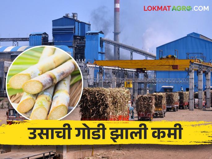 Due to the code of conduct, the farmers have to wait a long time for the sugarcane bill | आचारसंहितेमुळे शेतकऱ्यांना करावी लागणार ऊसबिलासाठी मोठी प्रतीक्षा Due to the code of conduct, the farmers have to wait a long time for the sugarcane bill | आचारसंहितेमुळे शेतकऱ्यांना करावी लागणार ऊसबिलासाठी मोठी प्रतीक्षा