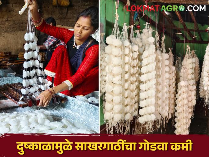 Due to the increase in production costs, the sweetness of the sugar bales has increased | उत्पादन खर्च वाढल्याने साखरगाठींचा गोडवा शंभरीपार Due to the increase in production costs, the sweetness of the sugar bales has increased | उत्पादन खर्च वाढल्याने साखरगाठींचा गोडवा शंभरीपार