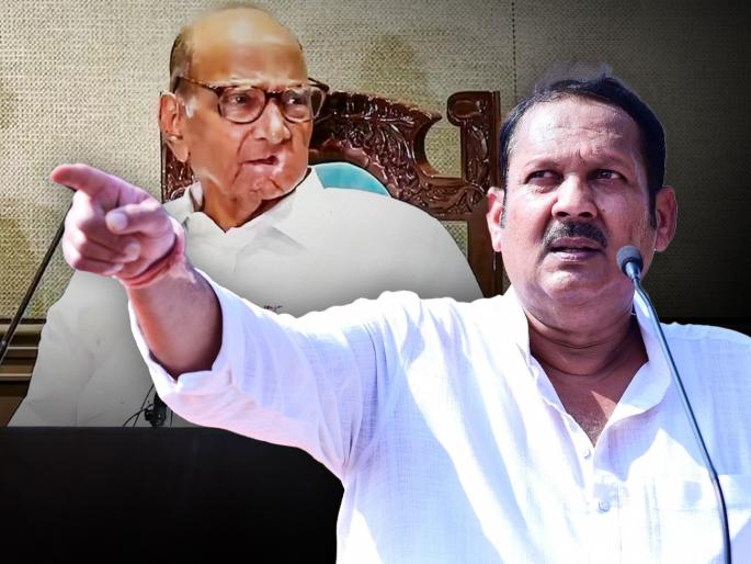 MLA Shashikant Shinde has expressed his desire to contest elections from Satara Lok Sabha constituency | Satara Lok Sabha 2024 : "कोण लढतंय का बघा, नाही तर...", सातारा लोकसभेसाठी पवारांच्या पठ्ठ्यानं शड्डू ठोकला MLA Shashikant Shinde has expressed his desire to contest elections from Satara Lok Sabha constituency | Satara Lok Sabha 2024 : "कोण लढतंय का बघा, नाही तर...", सातारा लोकसभेसाठी पवारांच्या पठ्ठ्यानं शड्डू ठोकला