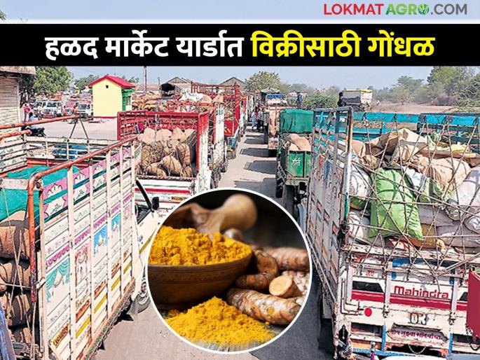 Confusion in the market yard over the release of vehicles carrying turmeric for sale | हळद विक्रीसाठी घेऊन आलेल्या वाहनांना सोडण्यावरून मार्केट यार्डात गोंधळ Confusion in the market yard over the release of vehicles carrying turmeric for sale | हळद विक्रीसाठी घेऊन आलेल्या वाहनांना सोडण्यावरून मार्केट यार्डात गोंधळ