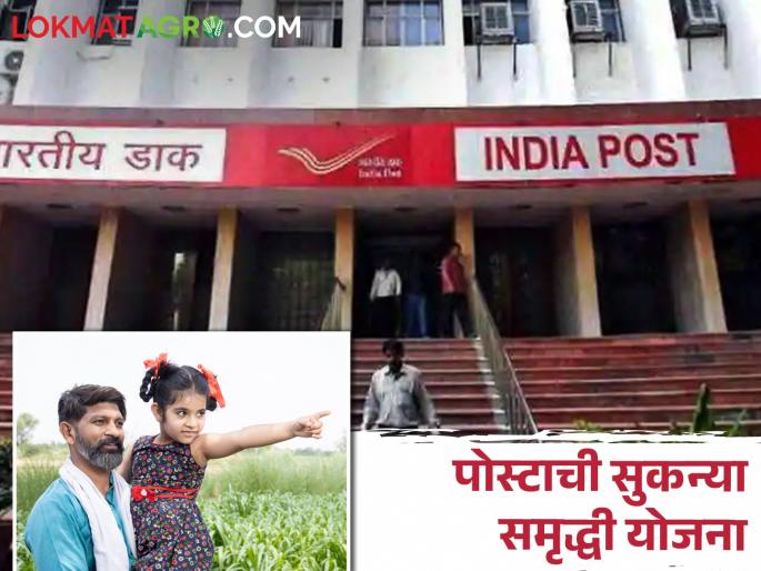 Farmers will be able to open an account in the name of the post in this scheme, which will be a big benefit | शेतकऱ्यांनो लेकीच्या नावाने पोस्टाच्या या योजनेत खाते उघडा होईल मोठा फायदा Farmers will be able to open an account in the name of the post in this scheme, which will be a big benefit | शेतकऱ्यांनो लेकीच्या नावाने पोस्टाच्या या योजनेत खाते उघडा होईल मोठा फायदा