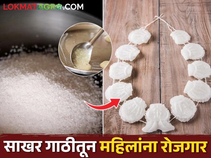 The Dafde family prepared 12 quintals of sugarcube on the day of Gudi Padwa | डफडे कुटुंबाने गुढी पाडव्याच्या दिवशी तयार केल्या १२ क्विंटल साखरगाठी The Dafde family prepared 12 quintals of sugarcube on the day of Gudi Padwa | डफडे कुटुंबाने गुढी पाडव्याच्या दिवशी तयार केल्या १२ क्विंटल साखरगाठी
