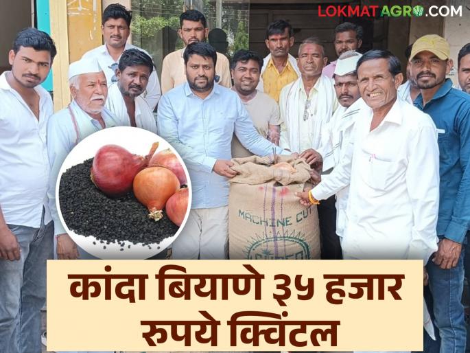 35 thousand rupees per quintal of onion seeds in the auction held on the occasion of Gudi Padwa | गुढीपाडव्याच्या मुहूर्तावर झालेल्या लिलावात कांदा बियाणे प्रतिक्विंटल ३५ हजार रुपये 35 thousand rupees per quintal of onion seeds in the auction held on the occasion of Gudi Padwa | गुढीपाडव्याच्या मुहूर्तावर झालेल्या लिलावात कांदा बियाणे प्रतिक्विंटल ३५ हजार रुपये