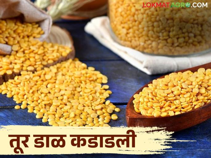 Demand for tur dal increased; Signs of further rate hikes | तूरडाळीची मागणी वाढली; दर आणखी वाढण्याचे संकेत