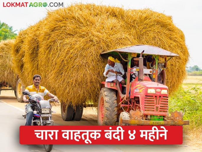 Four months ban on transportation of fodder outside the district; Administration decision | चारा बाहेरच्या जिल्ह्यात वाहतूक करण्यास चार महीने बंदी; प्रशासनाचा निर्णय