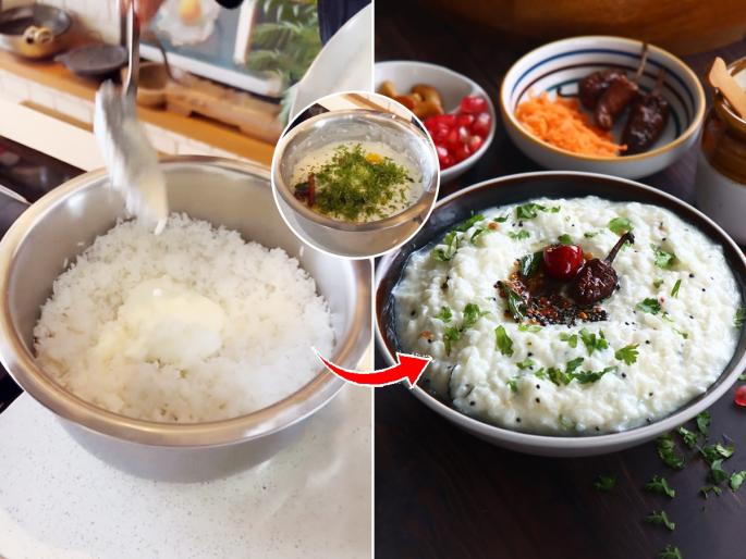 How to make curd rice, summer special curd rice recipe, how to make curd rice in 5 minutes  | समर स्पेशल : करा पारंपरिक पद्धतीचा दहीभात, उरलेल्या भाताला साजूक तुपाचा सुगंधी तडका- पोटाला मिळेल थंडाव