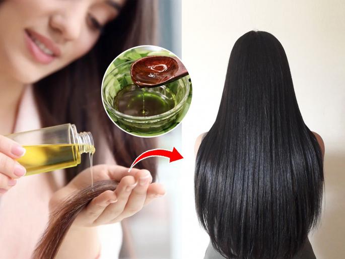 Home remedy for Hair Fall: Neem and curry leaves hair oil | केस गळून विरळ झालेत? टक्कलही पडले? खोबरेल तेलात मिसळा २ पाने; केसांची होईल कंबरेपर्यंत वाढ