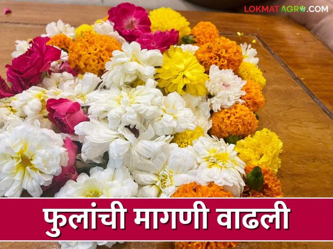 Demand for flowers due to weddings; Emphasis on appearance, decoration | लग्नसराईमुळे फुलांची मागणी; देखावा, सजावटीवर भर Demand for flowers due to weddings; Emphasis on appearance, decoration | लग्नसराईमुळे फुलांची मागणी; देखावा, सजावटीवर भर