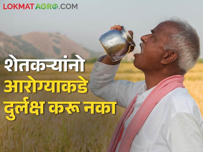 Farmer brothers are feeling tired and hungry; Didn't you get kidney disease? | शेतकरी बांधवांनो भूक मंदावली, थकवा जाणवतोय; किडनीचा आजार तर जडला नाही ना? Farmer brothers are feeling tired and hungry; Didn't you get kidney disease? | शेतकरी बांधवांनो भूक मंदावली, थकवा जाणवतोय; किडनीचा आजार तर जडला नाही ना?
