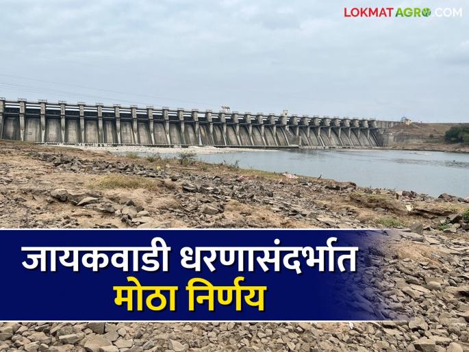 The decision is being taken due to the water level in the dam is decreasing rapidly | धरणातील पाणीपातळी झपाट्याने कमी होत असल्याने घेतला जातोय निर्णय The decision is being taken due to the water level in the dam is decreasing rapidly | धरणातील पाणीपातळी झपाट्याने कमी होत असल्याने घेतला जातोय निर्णय
