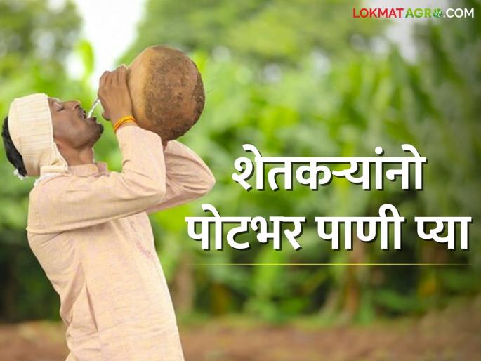 Farmer brothers, drink plenty of water in summer; Avoid various diseases | शेतकरी बांधवांनो उन्हाळ्यात पोटभर पाणी प्या; विविध आजार पळवा Farmer brothers, drink plenty of water in summer; Avoid various diseases | शेतकरी बांधवांनो उन्हाळ्यात पोटभर पाणी प्या; विविध आजार पळवा