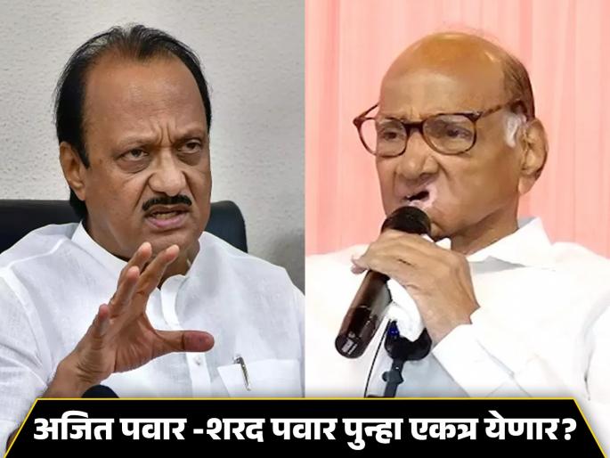lok sabha election 2024 Commented on whether MP Sharad Pawar and Ajit Pawar will come together | Ajit Pawar : शरद पवारांसोबत पुन्हा एकत्र येणार का? अजित पवारांनी सगळंच सांगितलं lok sabha election 2024 Commented on whether MP Sharad Pawar and Ajit Pawar will come together | Ajit Pawar : शरद पवारांसोबत पुन्हा एकत्र येणार का? अजित पवारांनी सगळंच सांगितलं