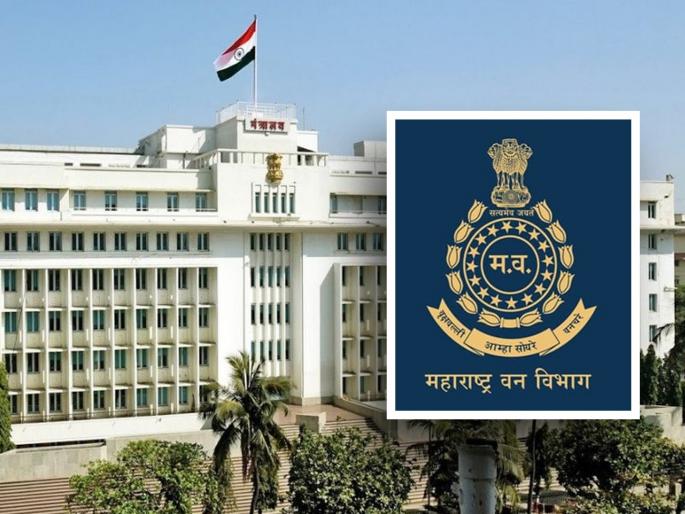 There will be transfers of 128 forest range officers sitting in one district for more than five years | १२८ बदलीपात्र वनपरिक्षेत्र अधिकाऱ्यांच्या होतील बदल्या; अनेक जण पाच वर्षे ठाण मांडून बसले एकाच जिल्ह्यात There will be transfers of 128 forest range officers sitting in one district for more than five years | १२८ बदलीपात्र वनपरिक्षेत्र अधिकाऱ्यांच्या होतील बदल्या; अनेक जण पाच वर्षे ठाण मांडून बसले एकाच जिल्ह्यात