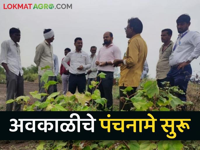 After the unseasonal weather, the revenue and agriculture department started panchnama to the dams of the farmers | अवकाळीच्या तडाख्यानंतर महसूल व कृषी विभागाकडून शेतकऱ्यांच्या बांधावर जाऊन पंचनामे सुरू After the unseasonal weather, the revenue and agriculture department started panchnama to the dams of the farmers | अवकाळीच्या तडाख्यानंतर महसूल व कृषी विभागाकडून शेतकऱ्यांच्या बांधावर जाऊन पंचनामे सुरू