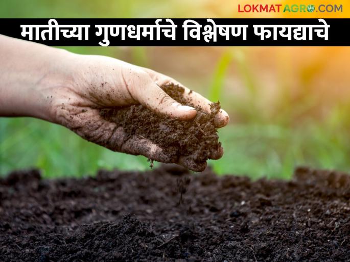 Check the soil sample once in three years; Physical, chemical and biological properties will be analyzed | तीन वर्षांतून एकदा माती नमुना तपासा; भौतिक, रासायनिक आणि जैविक गुणधर्माचे होईल विश्लेषण Check the soil sample once in three years; Physical, chemical and biological properties will be analyzed | तीन वर्षांतून एकदा माती नमुना तपासा; भौतिक, रासायनिक आणि जैविक गुणधर्माचे होईल विश्लेषण