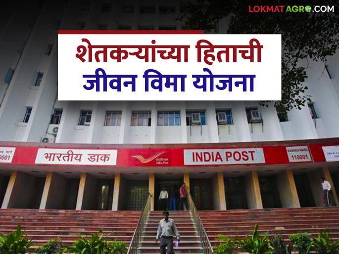Good for farmers; rural post Life Insurance Scheme | शेतकऱ्यांच्या हितासाठी चांगली; ग्रामीण डाक जीवन विमा योजना
