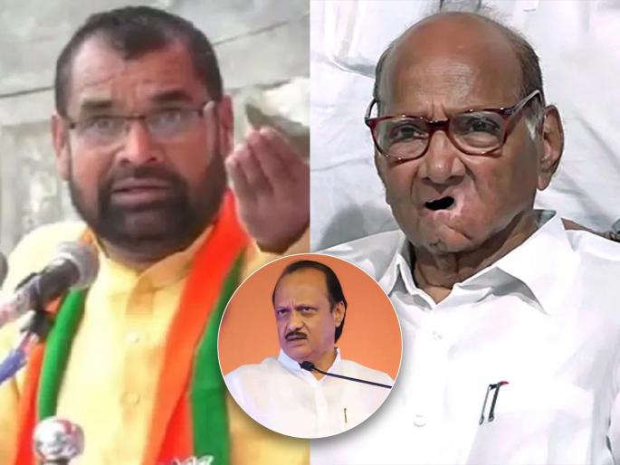 Madha Lok Sabha Election 2024 Sadabhau Khot criticized on MP Sharad Pawar | म्हातारं लय खडूस, तिजोरीची किल्ली कंबरेला लावून हिंडतंय; सदाभाऊ खोतांचा गावरान टोला