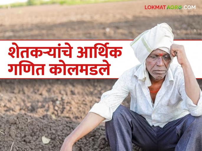 Prices of Fertilizer, seeds rise; But the agricultural goods price does not move | खत, बियाणांचे दर चढे; शेतमालाचे मात्र रुतलें गाडे Prices of Fertilizer, seeds rise; But the agricultural goods price does not move | खत, बियाणांचे दर चढे; शेतमालाचे मात्र रुतलें गाडे