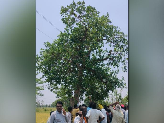 Cattle farmer dies by electric shock | विजेच्या धक्क्याने पशुपालक ठार : आंधळी येथील घटना Cattle farmer dies by electric shock | विजेच्या धक्क्याने पशुपालक ठार : आंधळी येथील घटना