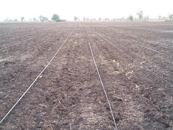 Administration to give land to poor families in the district | जिल्ह्यातील 'त्या' कुटुंबांना कसण्यास जमीन देण्यासाठी प्रशासनाकडून खरेदीची तयारी Administration to give land to poor families in the district | जिल्ह्यातील 'त्या' कुटुंबांना कसण्यास जमीन देण्यासाठी प्रशासनाकडून खरेदीची तयारी