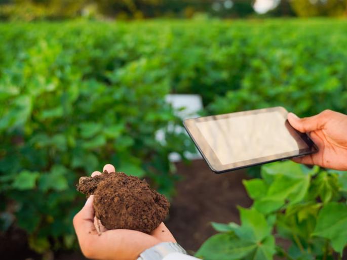 In the district, 5,552 farmers have done soil testing for agriculture | जिल्ह्यात ५,५५२ शेतकऱ्यांनी केले शेतीचे मातीपरीक्षण In the district, 5,552 farmers have done soil testing for agriculture | जिल्ह्यात ५,५५२ शेतकऱ्यांनी केले शेतीचे मातीपरीक्षण