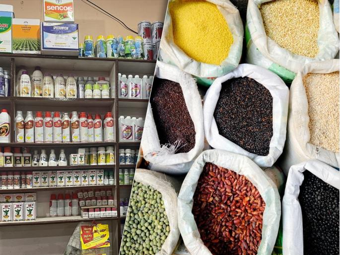 If agricultural stores sell bogus fertilizers and seeds, then it might lead to jail! | कृषी दुकानांवर नजर; बोगस खते, बियाणे विकाल तर तुरुंगात जाल! If agricultural stores sell bogus fertilizers and seeds, then it might lead to jail! | कृषी दुकानांवर नजर; बोगस खते, बियाणे विकाल तर तुरुंगात जाल!