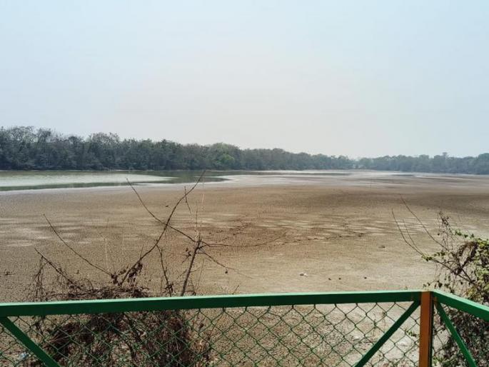 ...so the death of the flamingos; Breach of undertaking by CIDCO to Forest Department | ...म्हणून फ्लेमिंगोंचा मृत्यू; सिडकोकडून वनविभागास दिलेल्या वचननाम्याचे उल्लंघन ...so the death of the flamingos; Breach of undertaking by CIDCO to Forest Department | ...म्हणून फ्लेमिंगोंचा मृत्यू; सिडकोकडून वनविभागास दिलेल्या वचननाम्याचे उल्लंघन