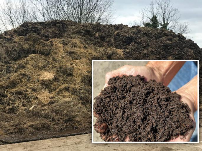 Farmers are more likely to use cow dung in their farm | शेणखताला आला सोन्याचा भाव Farmers are more likely to use cow dung in their farm | शेणखताला आला सोन्याचा भाव