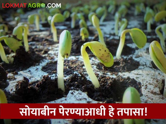 Agriculture Spring campaign launched; Guidance is being given to farmers | कृषी वसंत अभियानाला सुरुवात; शेतकऱ्यांना दिले जातेय मार्गदर्शन Agriculture Spring campaign launched; Guidance is being given to farmers | कृषी वसंत अभियानाला सुरुवात; शेतकऱ्यांना दिले जातेय मार्गदर्शन