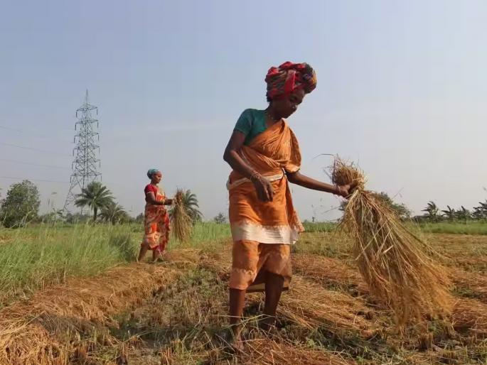 15 days ultimatum given for crop debt relief | पीक कर्जमुक्तीसाठी दिला १५ दिवसांचा अल्टिमेटम 15 days ultimatum given for crop debt relief | पीक कर्जमुक्तीसाठी दिला १५ दिवसांचा अल्टिमेटम