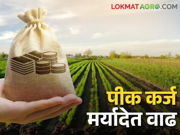 The crop loan limit for many crops including cotton, soybeans has increased from one to five thousand this year compared to last year | कापूस, सोयाबीन सह अनेक पिकांच्या कर्ज मर्यादेत गतवर्षीच्या तुलनेत यंदा एक ते पाच हजारांपर्यंत वाढ The crop loan limit for many crops including cotton, soybeans has increased from one to five thousand this year compared to last year | कापूस, सोयाबीन सह अनेक पिकांच्या कर्ज मर्यादेत गतवर्षीच्या तुलनेत यंदा एक ते पाच हजारांपर्यंत वाढ