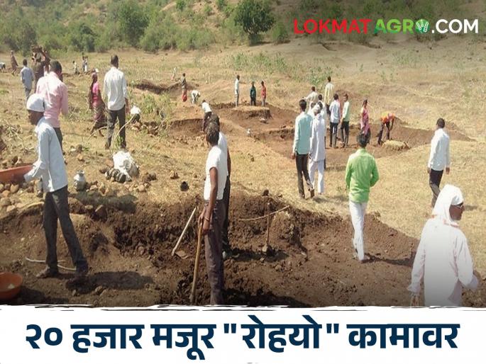 Why go to someone's campaign; Rohyo goes to work to earn money | कशाला जायचे कुणाच्या प्रचाराला; रोहयो कामावर जाऊ पैसे कमवायला Why go to someone's campaign; Rohyo goes to work to earn money | कशाला जायचे कुणाच्या प्रचाराला; रोहयो कामावर जाऊ पैसे कमवायला