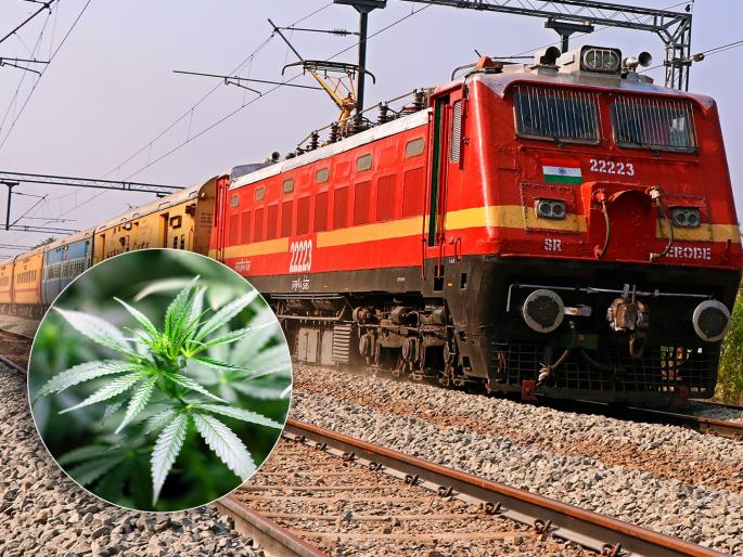Ganja smuggling in 'Humsafar'; five arrested including three women | ‘हमसफर’मध्ये गांजा तस्करी; तीन महिलांसह पाच पकडले