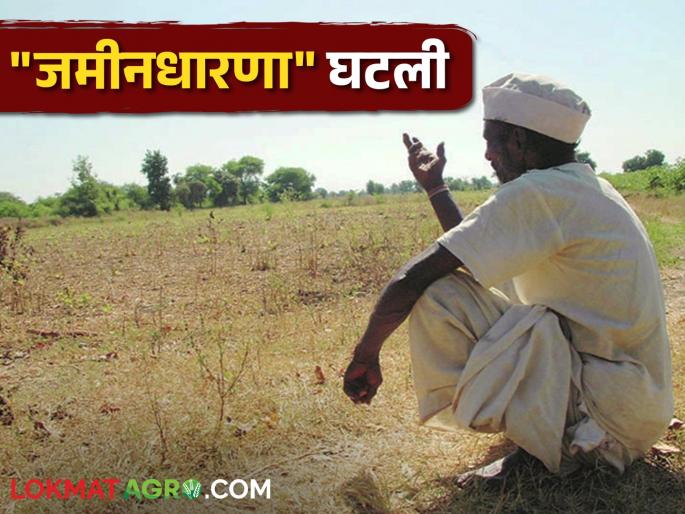 Farmers from hectare to acre and now to gunta; Land holding decreased | हेक्टरवरून एकरवर अन् आता गुंठ्यावर आले शेतकरी; भू धारणा घटली