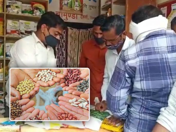 Farmers buying banned Bt seeds also on Agriculture Department's radar | प्रतिबंधित बिटी बियाणे खरेदी करणारे शेतकरीही कृषी विभागाच्या रडारवर Farmers buying banned Bt seeds also on Agriculture Department's radar | प्रतिबंधित बिटी बियाणे खरेदी करणारे शेतकरीही कृषी विभागाच्या रडारवर