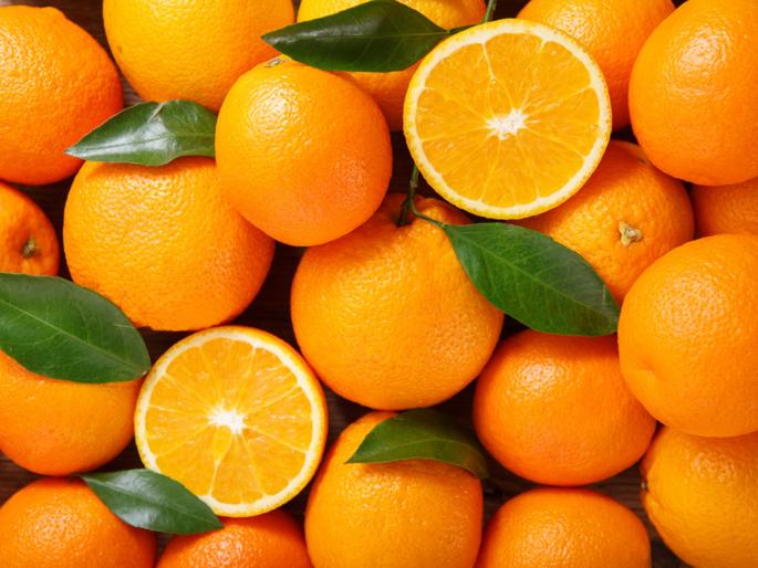 137 crore worth of orange wasted | १३७ कोटींचा संत्रा मातीमोल 137 crore worth of orange wasted | १३७ कोटींचा संत्रा मातीमोल
