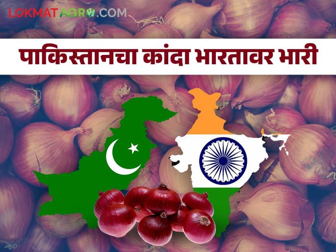 Onion hit by export price and duty; The price difference is Rs 44 per kg | कांद्याला निर्यातमूल्य व शुल्कचा फटका; दरात प्रतिकिलाे ४४ रुपयांची तफावत Onion hit by export price and duty; The price difference is Rs 44 per kg | कांद्याला निर्यातमूल्य व शुल्कचा फटका; दरात प्रतिकिलाे ४४ रुपयांची तफावत