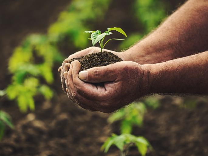 whether to do chemical or organic farming? | साहेब तुम्हीच सांगा, शेती रासायनिक करू की सेंद्रिय? whether to do chemical or organic farming? | साहेब तुम्हीच सांगा, शेती रासायनिक करू की सेंद्रिय?