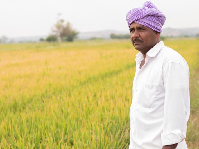 875 crore crop loan target; Obstinacy of nationalized banks continues | ८७५ कोटी पीक कर्जाचे उद्दिष्ट; राष्ट्रीयीकृत बँकांचा आडमुठेपणा कायम 875 crore crop loan target; Obstinacy of nationalized banks continues | ८७५ कोटी पीक कर्जाचे उद्दिष्ट; राष्ट्रीयीकृत बँकांचा आडमुठेपणा कायम