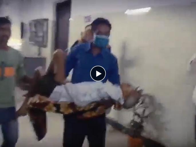 kanpur hospital video viral son kept wandering 70 year old man in his lap | Video - ना स्ट्रेचर, ना कोणाची मदत; आजारी वडिलांना उचलून घेऊन रुग्णालयात फिरत राहिला लेक kanpur hospital video viral son kept wandering 70 year old man in his lap | Video - ना स्ट्रेचर, ना कोणाची मदत; आजारी वडिलांना उचलून घेऊन रुग्णालयात फिरत राहिला लेक