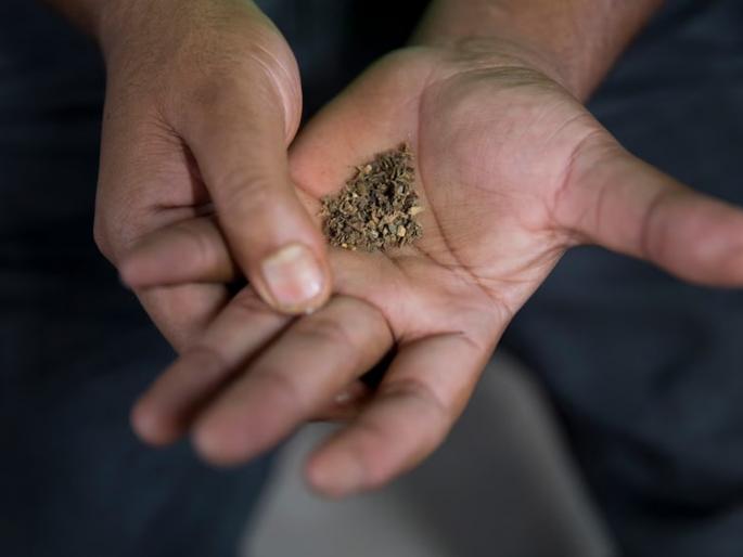 Tobacco kills more people than road accidents | रस्ता अपघातापेक्षा तंबाखू घेतो अधिक बळी