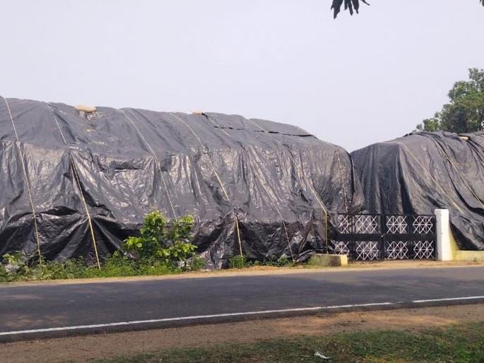 Open paddy will be stored in rented warehouses | उघड्यावरील धानाची भाड्याच्या गाेदामात साठवणूक हाेणार Open paddy will be stored in rented warehouses | उघड्यावरील धानाची भाड्याच्या गाेदामात साठवणूक हाेणार