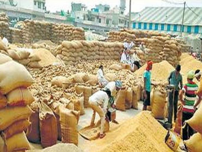 No lifting of paddy for shipment, notices issued to 34 rice millers | भरडाईसाठी धानाची उचल नाही, ३४ राईस मिलर्सला बजावल्या नोटीस No lifting of paddy for shipment, notices issued to 34 rice millers | भरडाईसाठी धानाची उचल नाही, ३४ राईस मिलर्सला बजावल्या नोटीस
