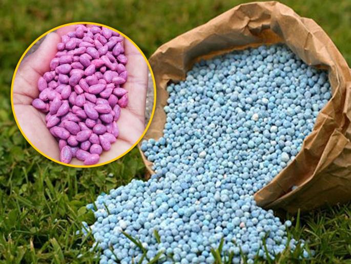 If you sell bogus fertilisers, seeds, your license will be suspended and will be jailed | बोगस खते, बियाणे विकाल तर परवाना निलंबित, तुरुंगात जाल If you sell bogus fertilisers, seeds, your license will be suspended and will be jailed | बोगस खते, बियाणे विकाल तर परवाना निलंबित, तुरुंगात जाल