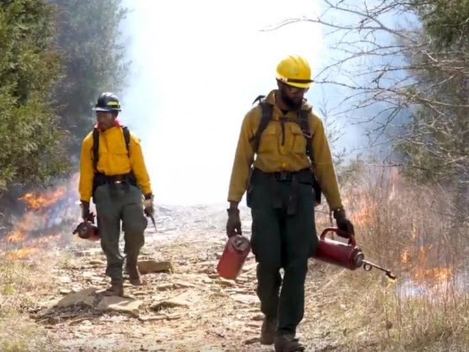 Carrying a weight of fifteen kilos on their backs, they extinguish wildfires! | पाठीवर पंधरा किलोचे वजन घेऊन ते विझवितात वणवा ! Carrying a weight of fifteen kilos on their backs, they extinguish wildfires! | पाठीवर पंधरा किलोचे वजन घेऊन ते विझवितात वणवा !