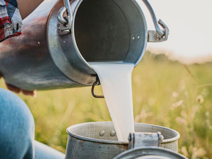 249 dairy institutions in the district are in bad condition | जिल्ह्यातील २४९ दूग्ध संस्था अवसायानात 249 dairy institutions in the district are in bad condition | जिल्ह्यातील २४९ दूग्ध संस्था अवसायानात